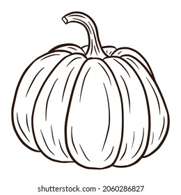 Line Art Sugar Pumpkin Illustration. Autumn Food Icon. Ripe squash sketch. Element for autumn decorative design, halloween invitation, harvest, sticker, print, logo, menu, recipe.