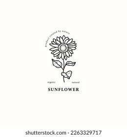 Line art sunflower branch illustration