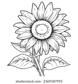 Ilustración vectorial de la página de color girasol de líneas