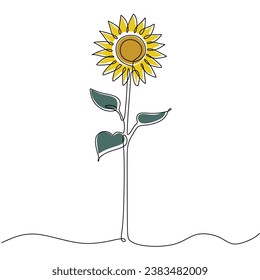 Line art sunflower flower. Continuous one single outline. Vector illustration isolated. Minimalist design handdrawn.