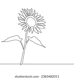 Line art sunflower flower. Continuous one single outline. Vector illustration isolated. Minimalist design handdrawn.