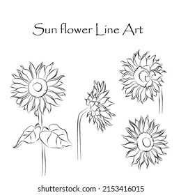 Line art of Sunflower vector. Sketch of sunflower