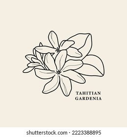 Dibujo de la flor de Line Art Tahitian gardenia