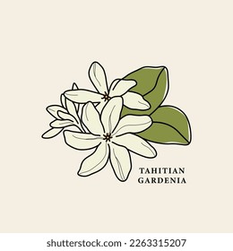 Dibujo de flores de la gardenia tahitiana