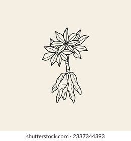 Line art tapioca branch illustration