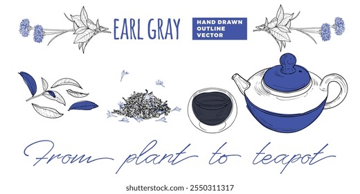 Chá de arte de linha da planta ao pote. Ilustração de chá de vetor desenhado à mão. Projeto de chá cinza Earl para on-line e imprimir projetos de chá. Estrutura de tópicos com detalhes em cores planas para designs de menus de bar ou café. 