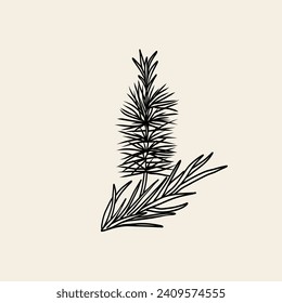 Line art tea tree branch illustration