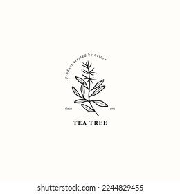 Line art tea tree illustration