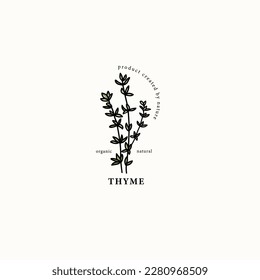 Line art thyme branch drawing