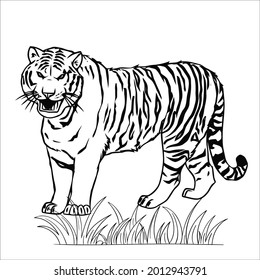 Line art tiger pictures for coloring.