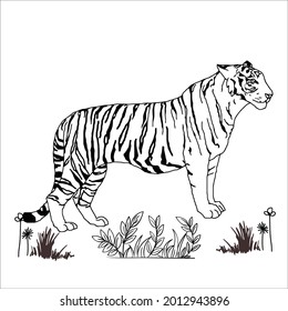 Line art tiger pictures for coloring.