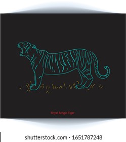 line art tiger "Royal Bengal Tiger"