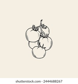 Line art tomato branch illustration