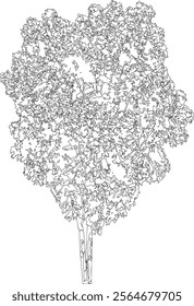 Line Art Tree Illustration on White Background vector illustration