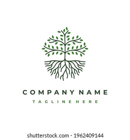 Line art tree logo design, tree and root vector. Tree of life logo design inspiration