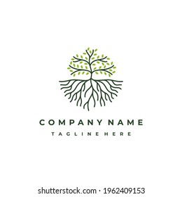 Line art tree logo design, tree and root vector. Tree of life logo design inspiration