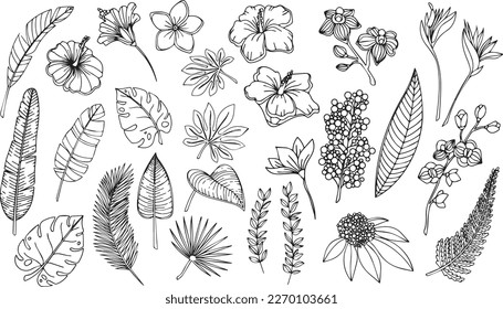 Pin by Rhonda Webb on Free coloring pages | Pattern tattoo, Flower  sketches, Flower drawing