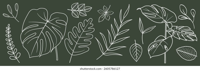 Line art of tropical leaves on a dark background. Various leaf shapes, including monstera and palm. Simple, elegant leaf designs in white outline. Botanical doodle vector set.