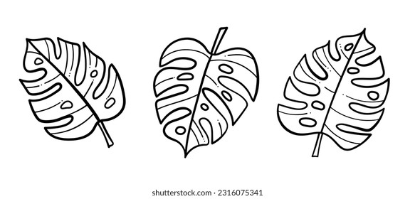 Line art tropical Monstera leaves, vector collection