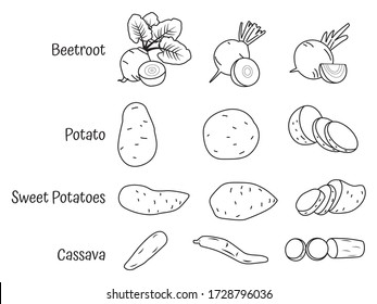 iconos de tubérculos de líneas . batata vectorial, yuca, remolacha y papa 