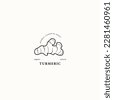 turmeric icon