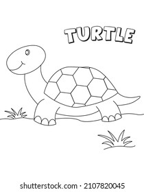 line art of turtle for coloring page