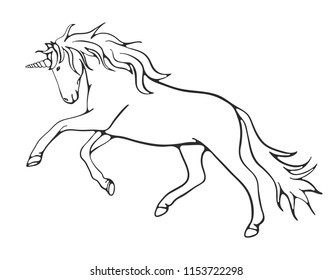 Line art unicorn, vector