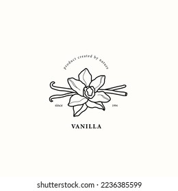 Line art vanilla flower illustration