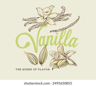 Ilustración vectorial de vainas y flores de vainilla, Vector dibujado a mano de boceto de conjunto de flores de vainilla, diseño de camiseta floral de verano