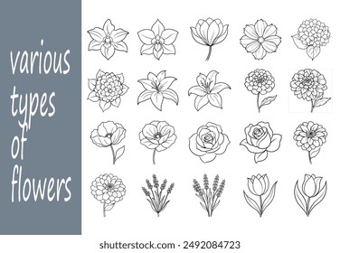 Line art, various types of flowers