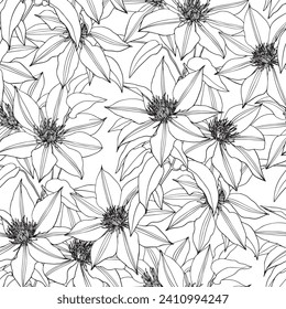 Flores de ramas vectoriales de arte de línea clematis negro y blanco sin costuras. Elementos dibujados a mano. Elegante embalaje de fondo floral tela de papel tapiz