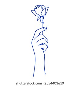 Line Art Vector Drawing of Hand with Flower Rose. Simple Minimalist Illustration of Flower in Hand. Vector Floral Art Illustration Blue Lines on White. Not AI
