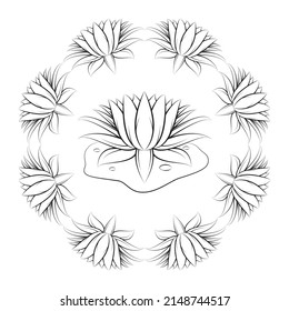 Line art vector drawing of lotus flower on lotus leaf with lotus flower frame
