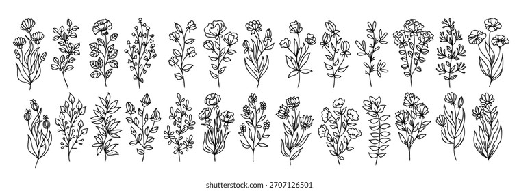 line art vector drawing set of plants leaves and flowers