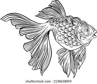 a line art vector of a gold fish 
