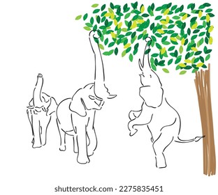 LINE art vector of a group of elephants trying to reach leaves of tree.