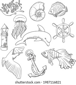 Dibujo de línea vectorial garabatos dibujados a mano con conchas, delfines, faro, peces, medusas, ancla, coral