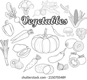 Line art vector hand drawn Vegetables set objects and symbols