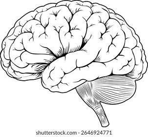 Line art vector of a human brain with a side view, a minimalist and professional design ideal for scientific, medical, and technological projects.