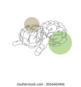Line art vector icon with continuous line of artichokes on white background. Vector illustration design. Cook. White background. Organic food. Linear style. Healthy diet.