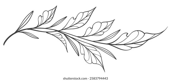 Line art vector illustration of a branch with leaves