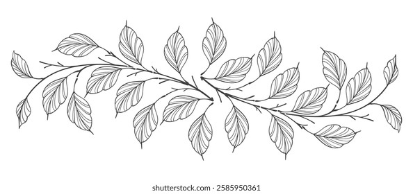 Line art vector illustration of a branch with leaves