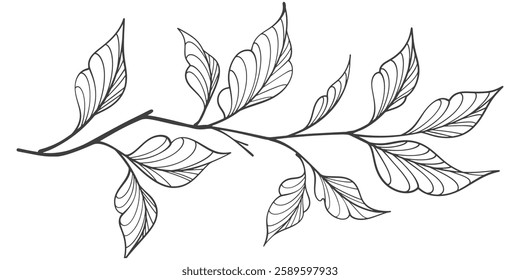 Line art vector illustration of a branch with leaves