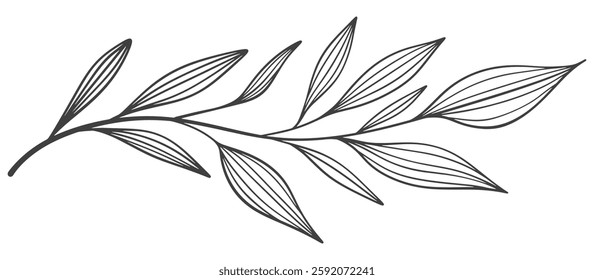 Line art vector illustration of a branch with leaves