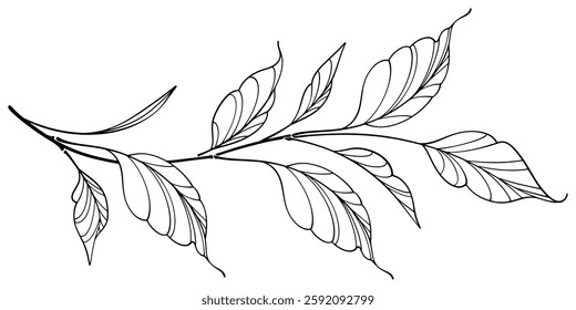 Line art vector illustration of a branch with leaves