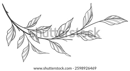Line art vector illustration of a branch with leaves vector eps