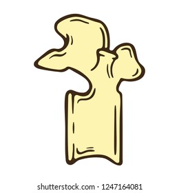 Line Art Vector Illustration. Fragment of the human spine. Medical anatomical icon