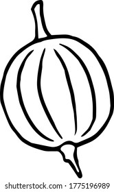 line art vector illustration of gooseberry