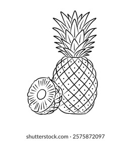 line art vector illustration of pineapple fruit. whole and split fruit. Healthy fruit, vegetarian product.