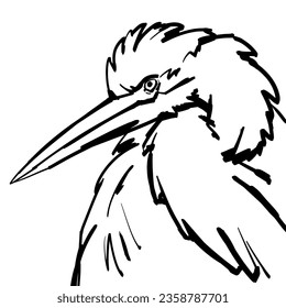 Line art vector illustration of portrait of Grey heron.